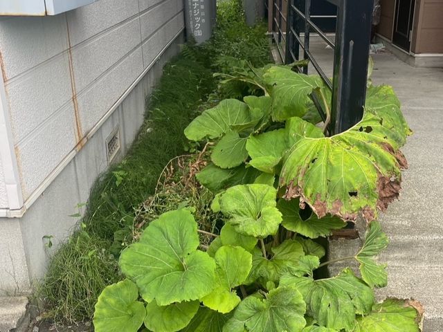 【すべて自社対応】◎損害保険加入済み・対応地域外も相談歓迎！
