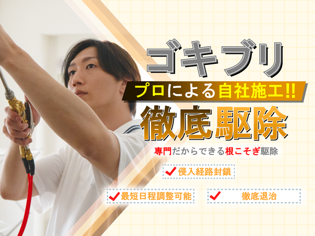 ◆店舗のゴキブリ駆除ならお任せください！繁殖したチャバネも徹底駆除！実績多数☆