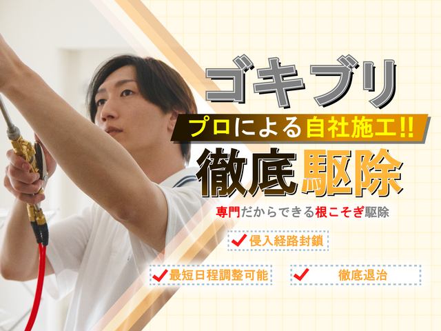 ◆店舗のゴキブリ駆除ならお任せください！繁殖したチャバネも徹底駆除！実績多数☆