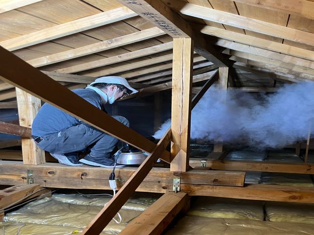 【害獣レスキュー24】◎誠実駆除◎安心と清潔をお届けするプロの訪問サービス