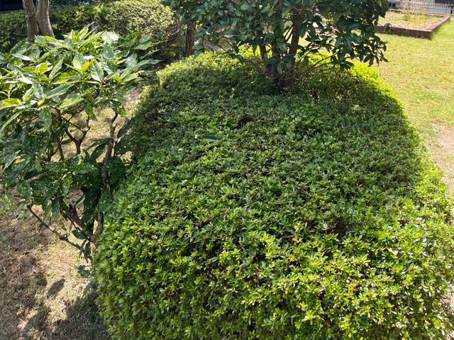 お客様のご要望を事前にお聞きした上で作業を行いご満足頂ける仕上がりをおこないます