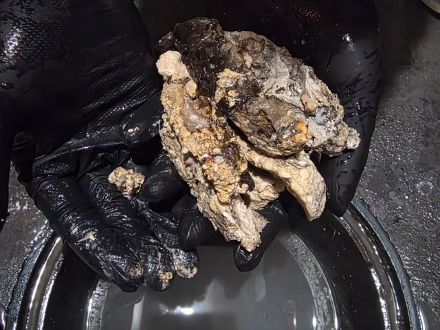 年間1000件の詰まりを解消！室外から室内まで【臭い汚れ】を根こそぎ洗浄します！