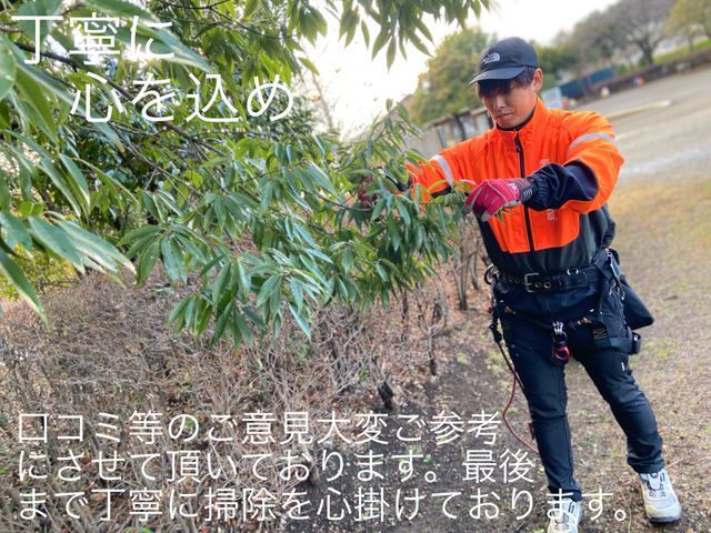 年明け限定割あり！庭木・立木伐採はプロにお任せ｜見積無料・即日対応・口コミ高評価