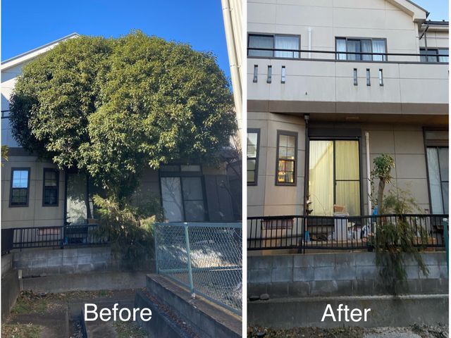 庭木伐採・抜根｜ふじみ野の伐採専門サービス｜迅速対応・安心価格｜口コミ4.8以上