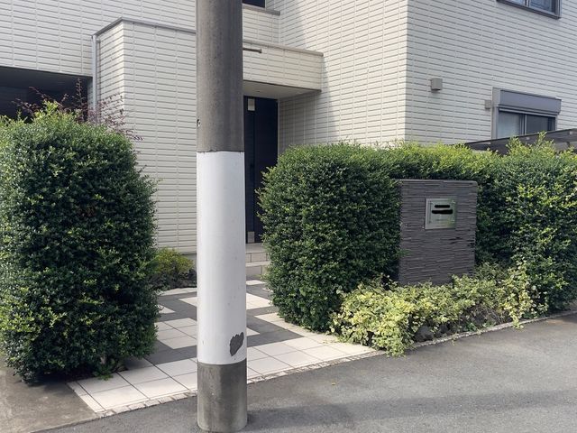 見た目だけでなく、育ちやすさも考えた剪定を行います。