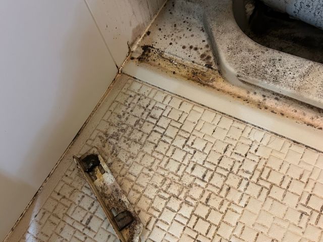 【完全自社施工】実績多数のプロがお伺いします