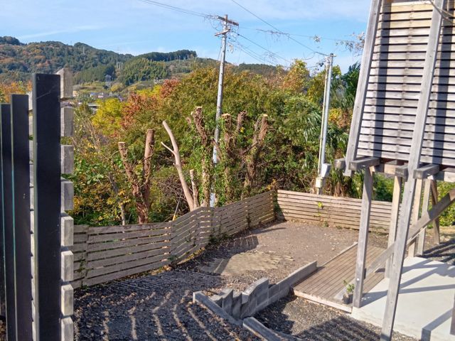 ７ｍ以上の高木・大木・複数本・お気軽にご相談ください。