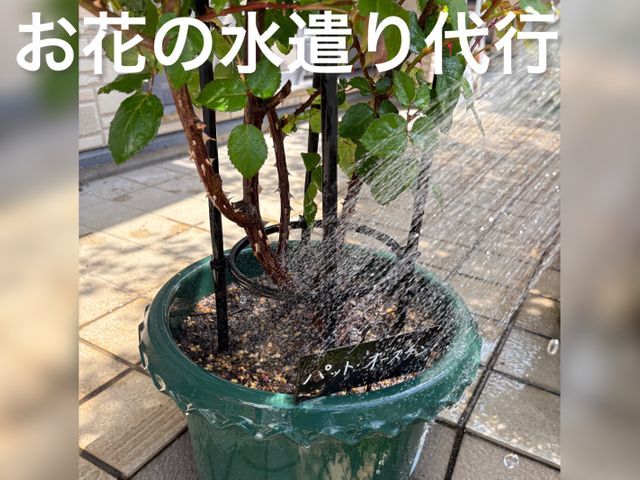 旅行や出張などの際お困りですよね！「熊本の便利屋さんスケット」にご相談ください！