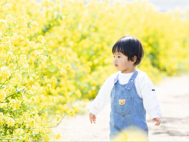 ◆和傘貸出無料◆成人式前撮り・ご家族記念・卒業式・入学式　自然な表情撮影します！