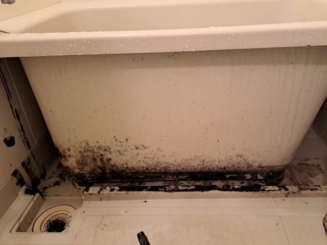 落ちにくいお風呂のカビ、石鹸カス、あきらめないで一度ご相談ください