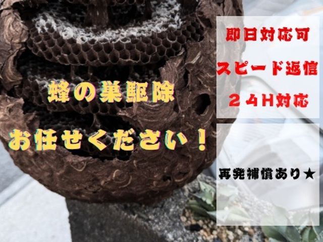 24時間対応★年中無休｜親切・丁寧◎事前打ち合わせで安心！