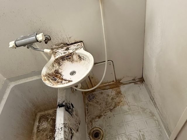 《快適な毎日を！》即日対応可能、綺麗で気持ちいいお風呂時間に☆排水口まで綺麗に！