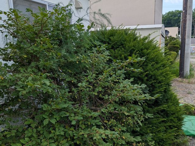 あなたの「困った」を全力で解決します！