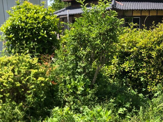 お客様のご要望をしっかり聞きご満足いただけるように心を込めて作業いたします。