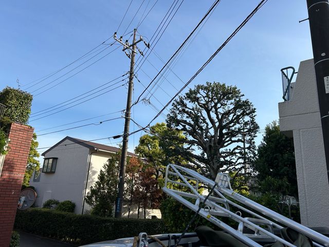 お庭を綺麗にしませんか？庭翔黒にお任せください！！【写真見積もり可•損害保険有】