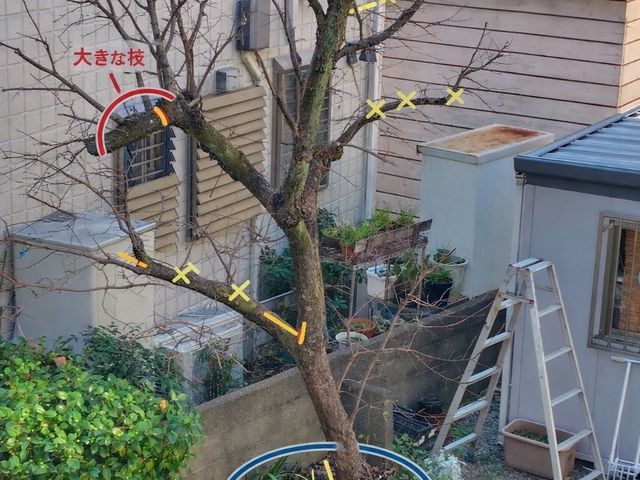 ◆◇12月新規出店◇◆料理人経験者による丁寧かつパワフルな力仕事！信頼の技術◎