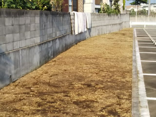 神戸 姫路 庭の雑草でお困りなら地元の植木屋の1級造園技能士にお任せください グリーンバード庭園管理の草刈り 草刈り機 くらしのマーケット 神戸 姫路 庭の雑草でお困りなら地元の植木屋の1級造園技能士にお任せください グリーンバード庭園管理の草刈り 草刈り機 くらしのマーケット