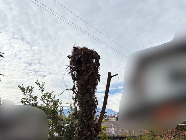 【女性スタッフ同行】ご要望を丁寧にお聞きし、理想の庭を実現するオーダーメイド剪定