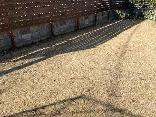 草むしり（手作業）