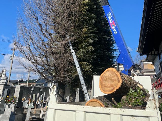 外観の美しさを最大限に引き出し、掃除まで丁寧に対応いたします！