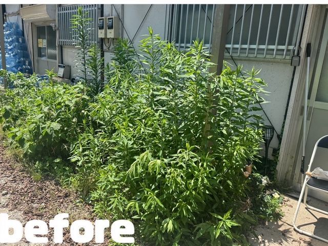 低音草刈り機♪草刈り＋回収可能です！お気軽にご相談ください！立会無し可能♪