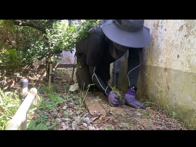 丁寧手作業！お客様のお力になります！経験と知識を活かして迅速丁寧に作業いたします