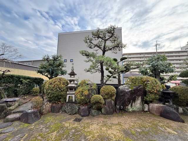 庭木の剪定・お手入れサービス【丁寧・安心対応】まずは無料のお見積を！