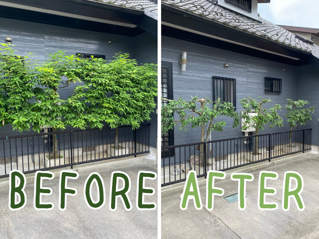 【岐阜】あなたの街の植木屋さん。大切な庭木のための剪定サービス