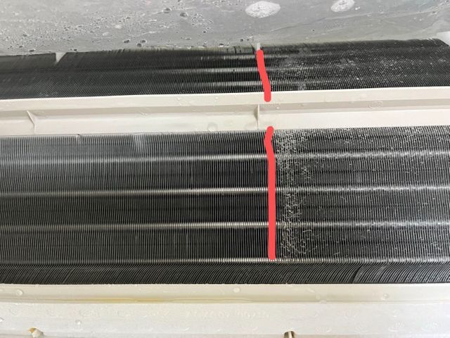 【12月出店】年間1万台の実績を誇る丁寧な女性スタッフ指定可能な専門サービス