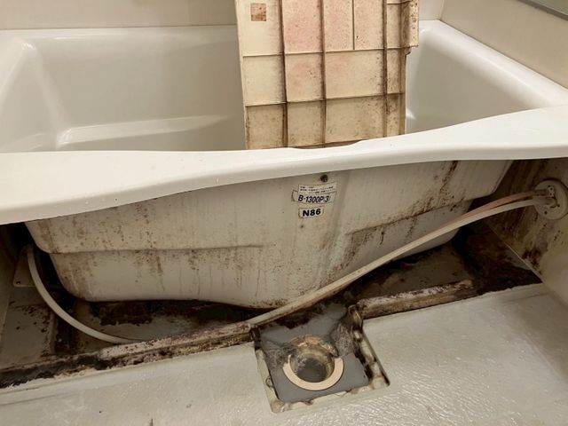 札幌発〜！エプロン内も年末大掃除！！今だけ防カビ無料！！