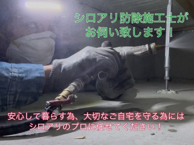 格安駆除ならAterra☆安心安全の天然薬剤！即日対応も可◎カビの予防にも〇