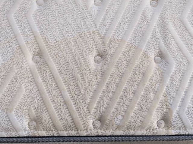 介護施設や病院等の経験あり◎普段洗えないマットレスを徹底洗浄！夜間・早朝対応可能