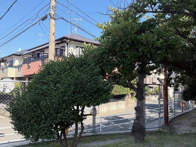 伐採・剪定・草刈りはもちろん、庭の枝や草の片付けなど何でもお任せ下さい！