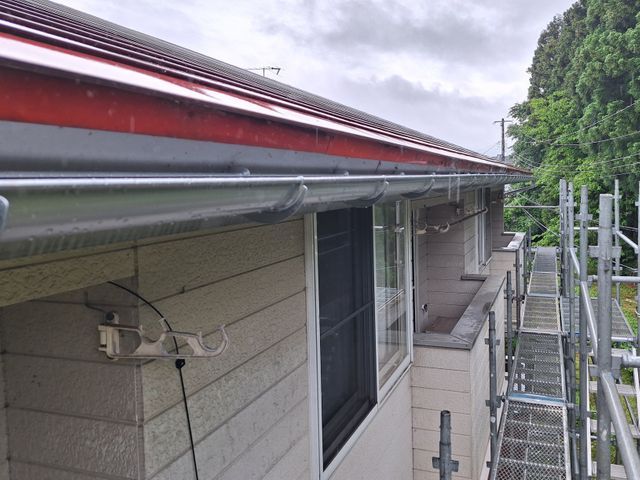 雨樋掃除・修理