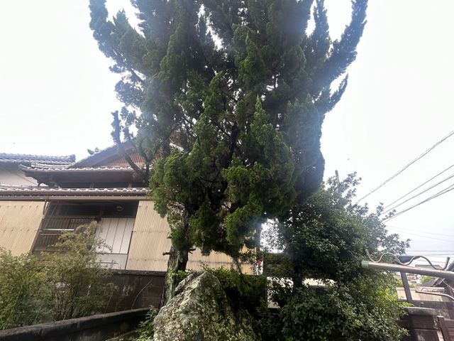 【3月出店】実績200件以上！丁寧な作業と安心価格で、理想の庭づくりをサポート