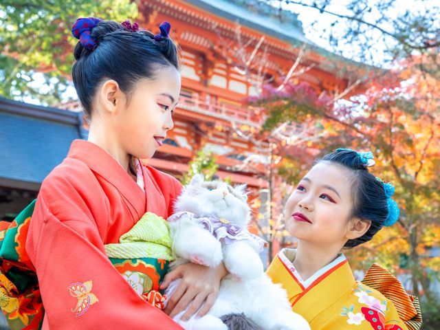 【自然体の七五三撮影】　大切な家族の笑顔、ふとした瞬間を撮影します