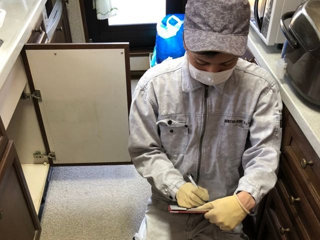 【環境省の認定事業者】☆ネズミ駆除のプロが対応☆24時間対応☆お見積り無料！