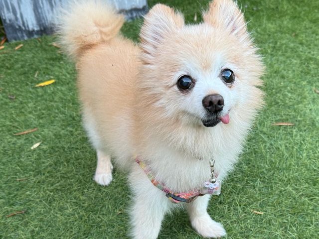 【駐車場代は当店が負担◎】営業時間外もご相談ください！