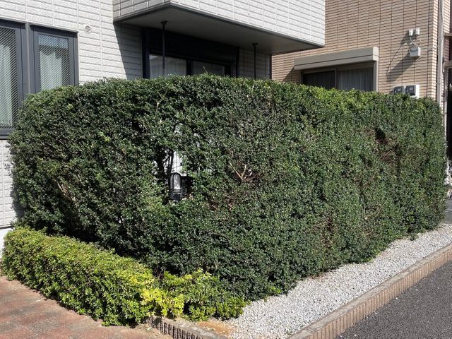 26年の経験で、お庭のパートナーとして、1本からでも気軽にご相談ください