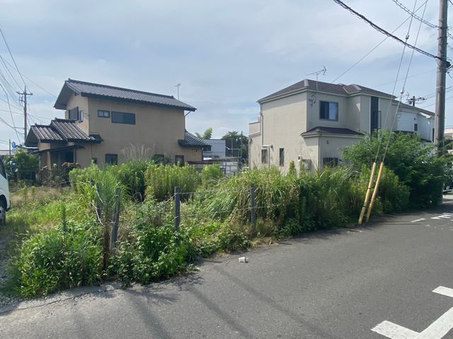 草刈り、樹木の伐採