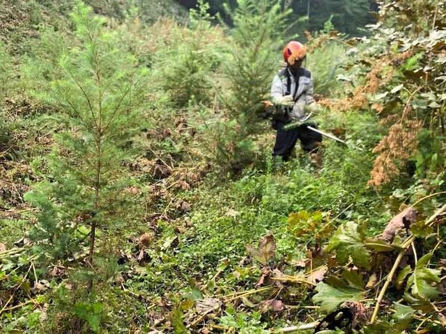 GW前の別荘準備に！草刈り＋敷地チェックで気持ちよくお過ごしいただけます。