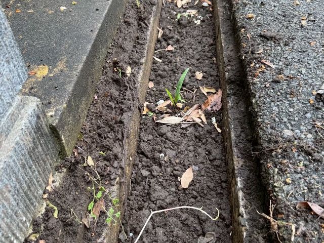 側溝清掃メンテナンス工事