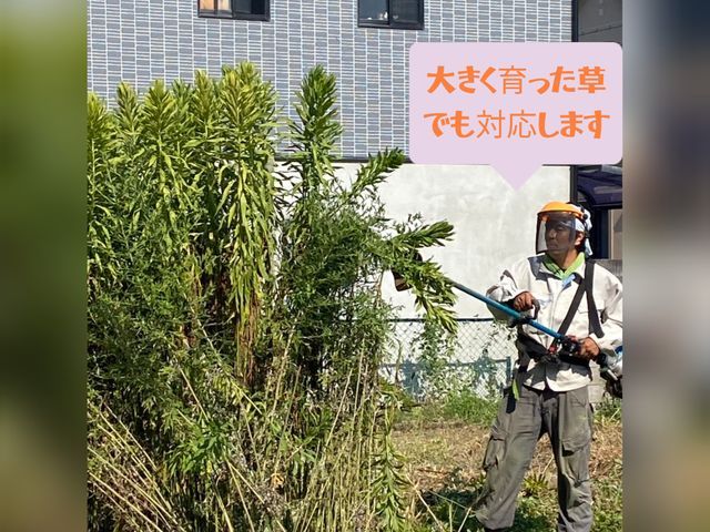 ご好評につき11/4以降の対応となります☆ジャングル状態でも対応☆損害保険加入