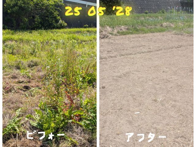 ☆ジャングル状態でも対応☆お見積りはお写真でも現地でも対応☆損害保険加入済み