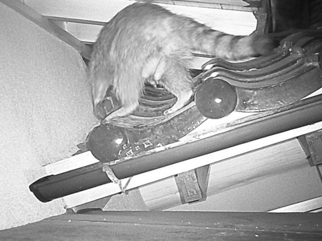 《実績多数！》保証期間の制限無し！施工からアフターフォローまで丁寧に対応◎