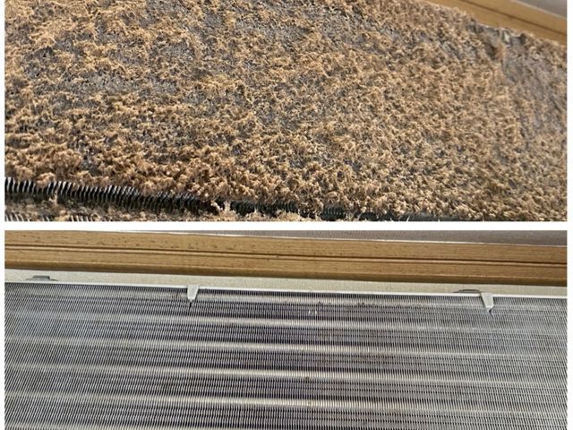 【大手業務経験あり】損害保険加入済み◎プロの技術であなたの空間を輝かせます！