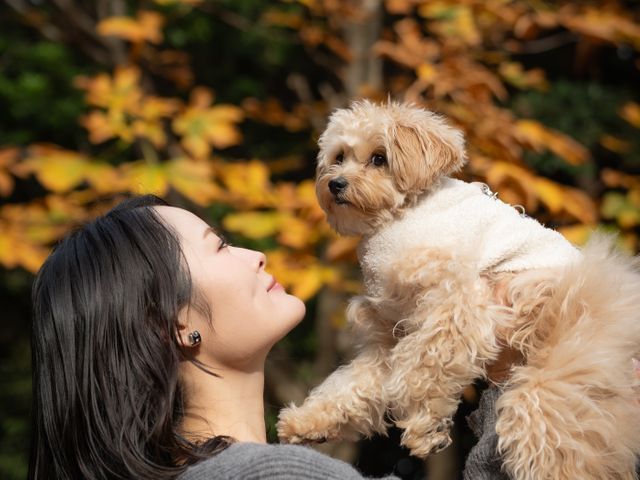 芸能事務所提携カメラマン / やさしい雰囲気で撮影♪ / ペット商業撮影経験あり