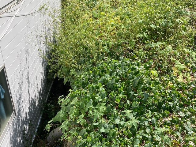 プロの技術でご満足いただけるように心を込めて作業いたします