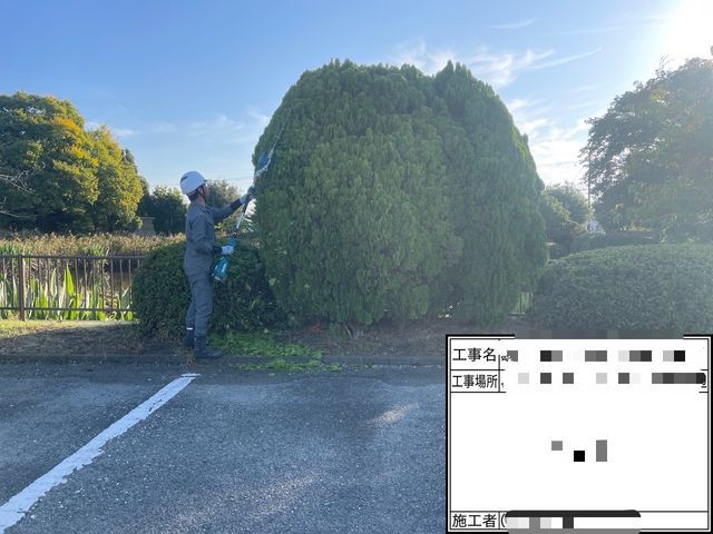 地域密着型！お庭の植木の散髪をしませんか？