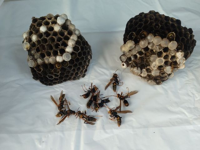 【年中無休・24時間対応】業歴20年以上！経験豊富なスタッフが解決します！